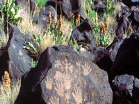petroglyph-national-monument_nps.jpg